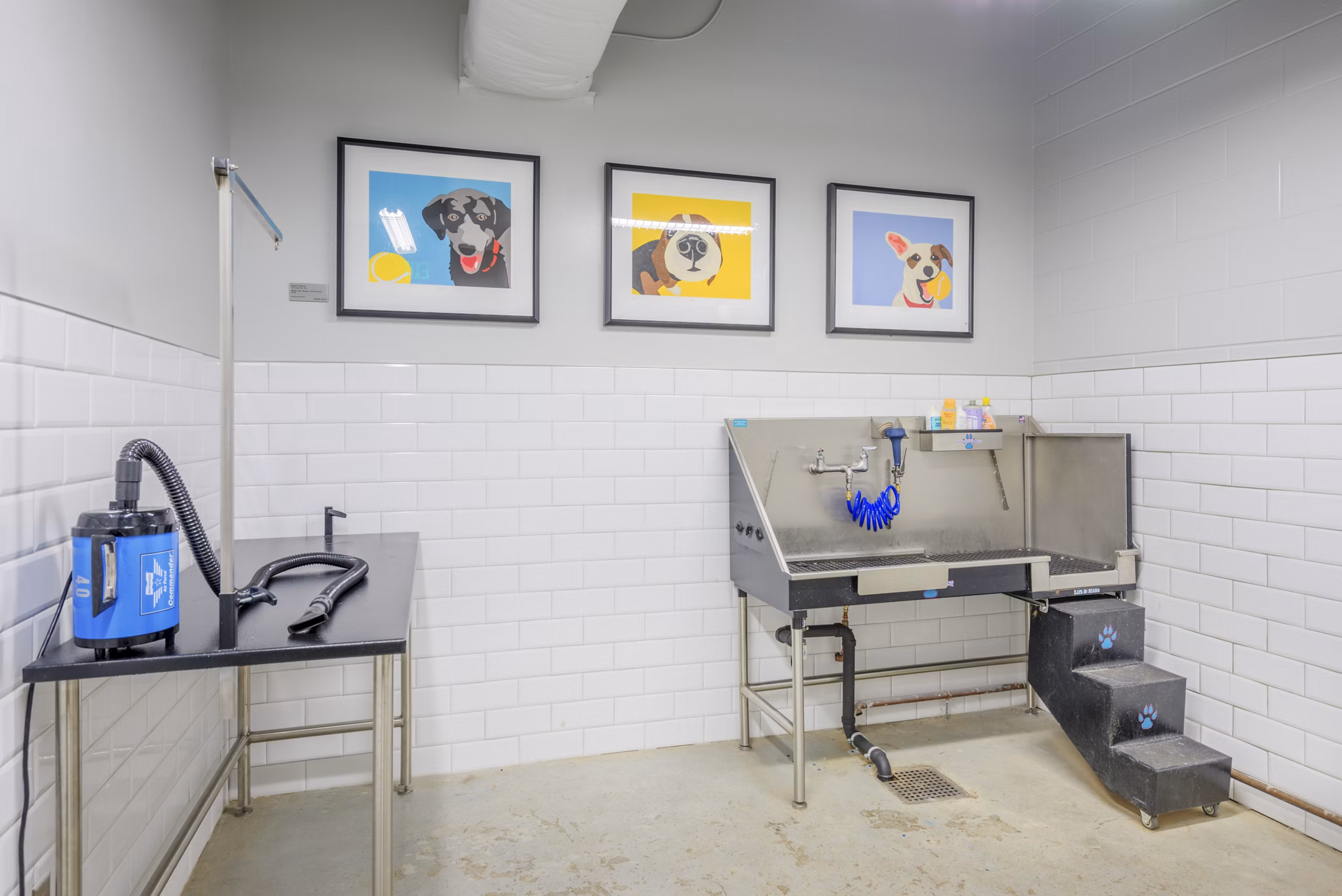 dog wash station at The Dillon Apartments