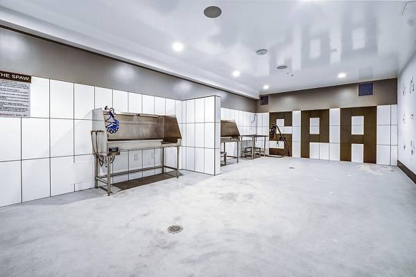 dog wash station at Revo Apartments