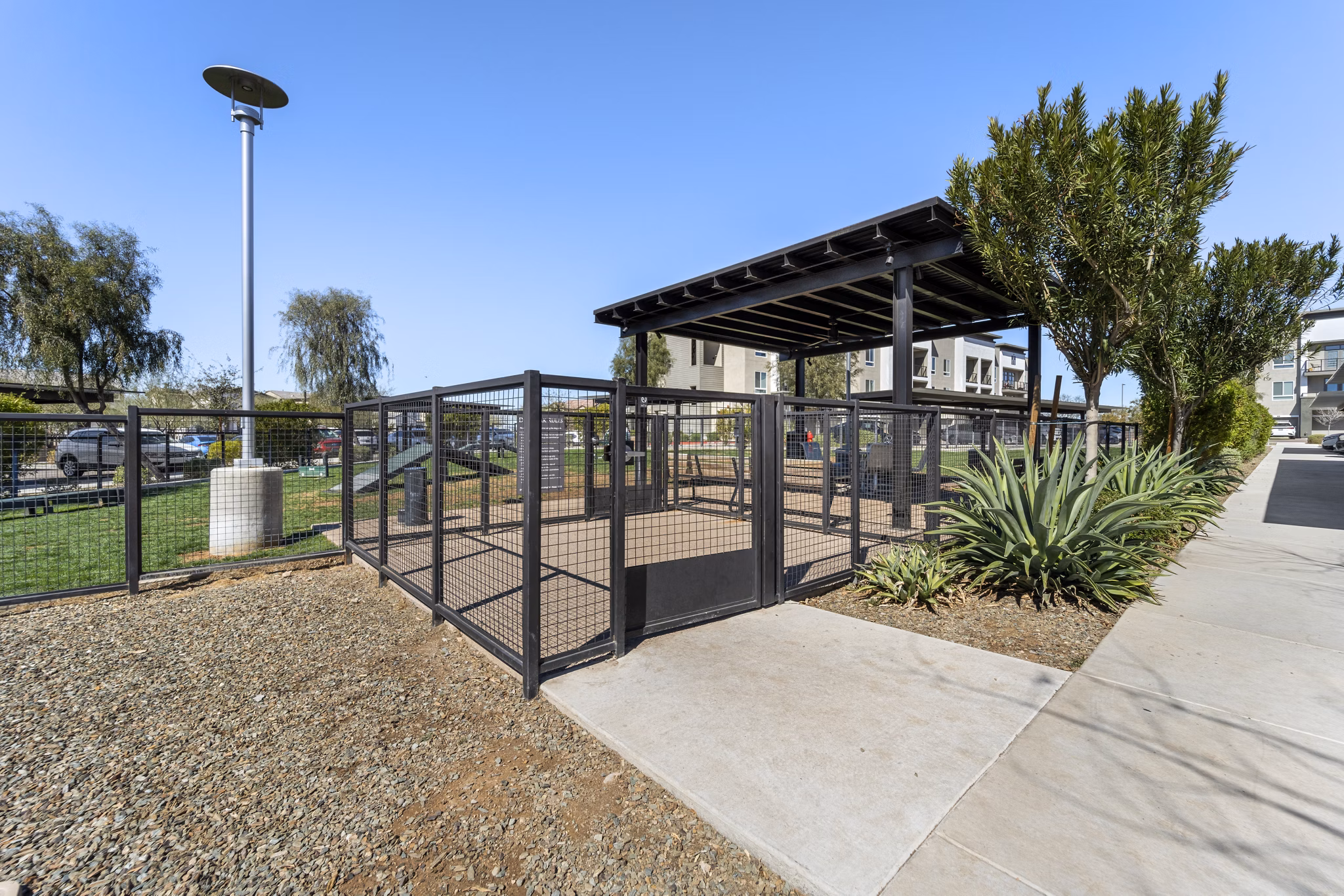 Dog park featuring agility equipment at Maxwell on 66th Apartments, pet-friendly community for luxury living