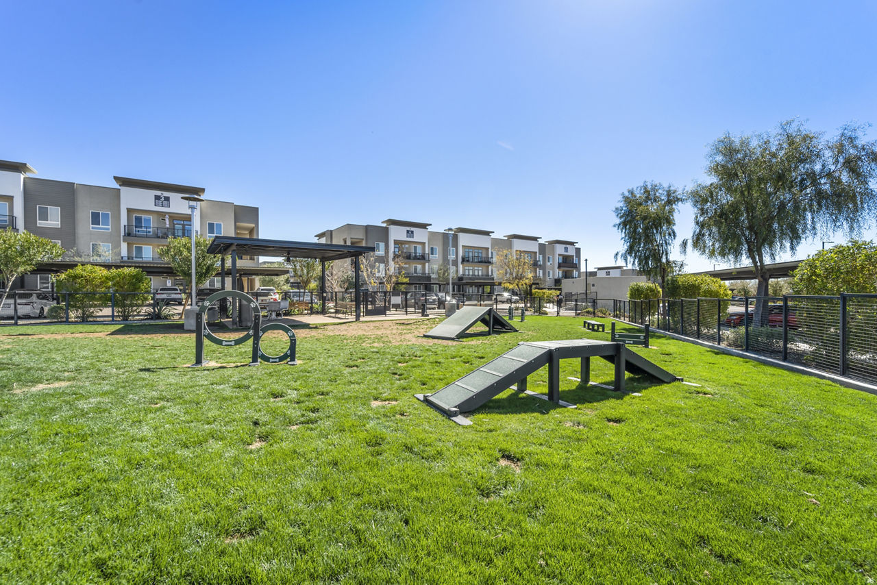 Dog park at Maxwell On 66Th (2 of 2)