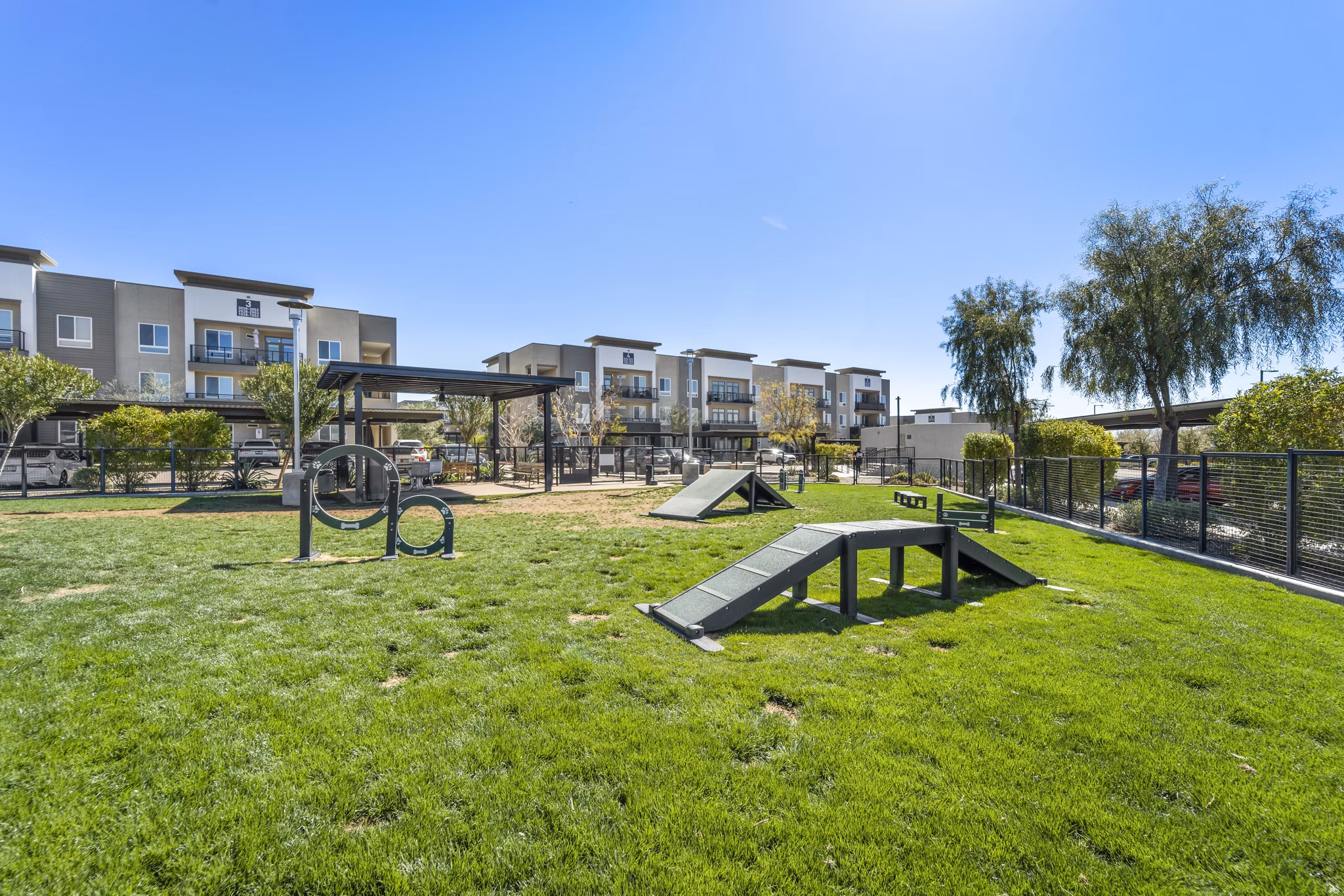 Dog-friendly outdoor space at Maxwell on 66th Apartments featuring well-maintained dog park facilities and green areas for pet activities