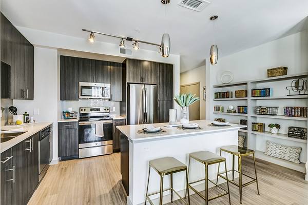 kitchen at Scenic at River East Apartments