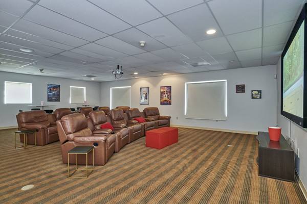 theater at Novi at Lowry Apartments