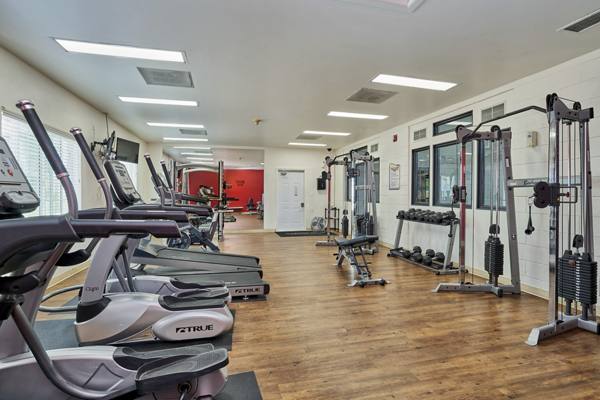 fitness center at Novi at Lowry Apartments