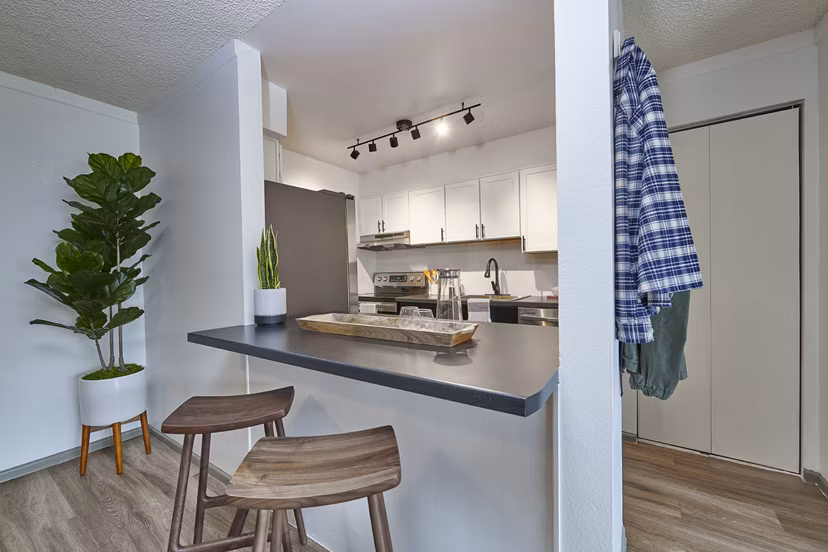 Modern kitchen with stainless steel appliances at Novi at Lowry Apartments