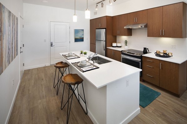 Modern kitchen with stainless steel appliances in The Well Apartments, luxury living by Greystar