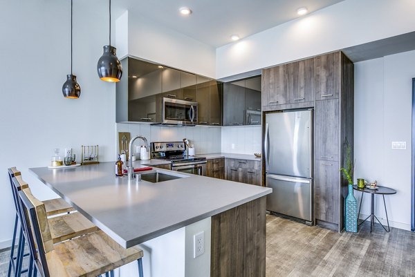 Modern kitchen with sleek countertops at Batik Apartments luxury dwellings