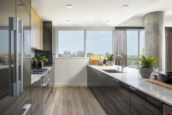 Modern kitchen with stainless steel appliances and island counter at 525 Olive Apartments, luxury living in the heart of the city
