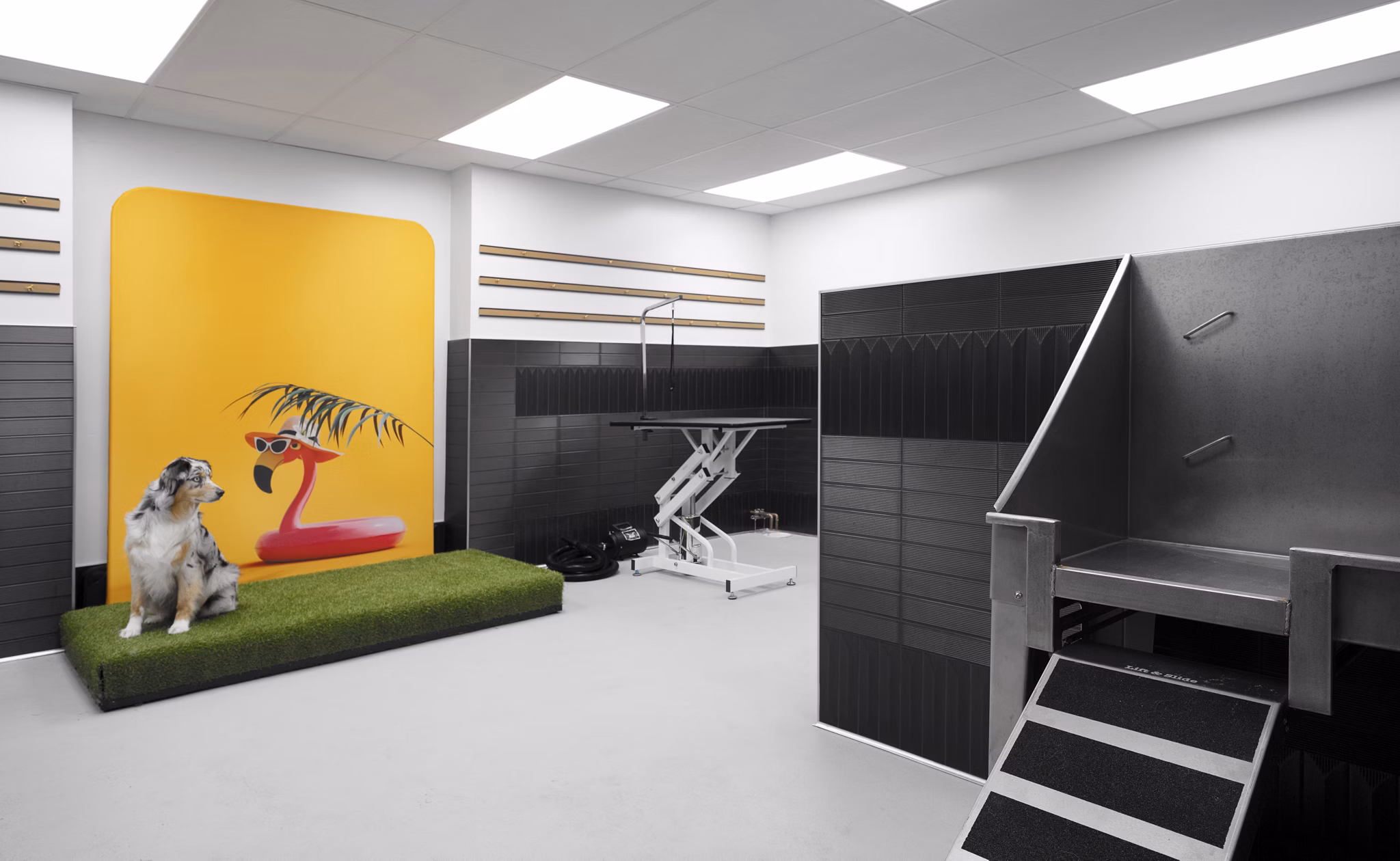 Convenient pet-friendly dog wash station at 525 Olive Apartments for residents' furry friends