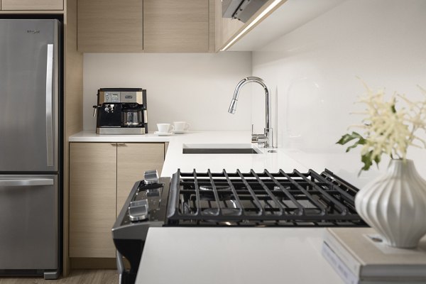 Diega Apartments: Modern kitchen with stainless steel appliances and granite countertops in luxury high-rise