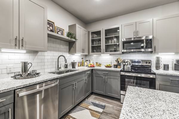 kitchen at Arista Riverstone Apartments