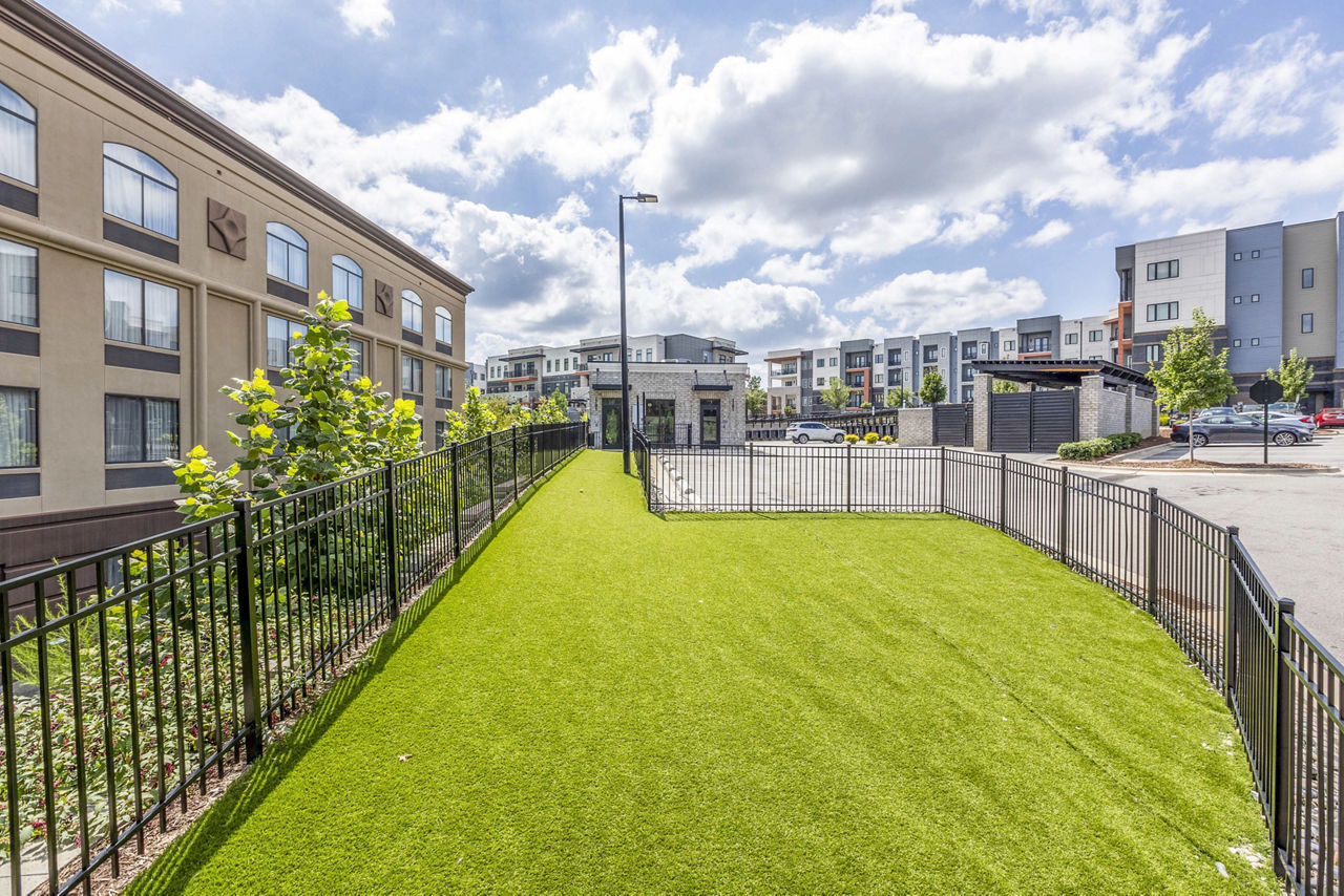 Dog park at Candour House Apartments