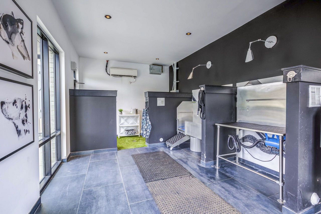 Pet wash at Candour House Apartments