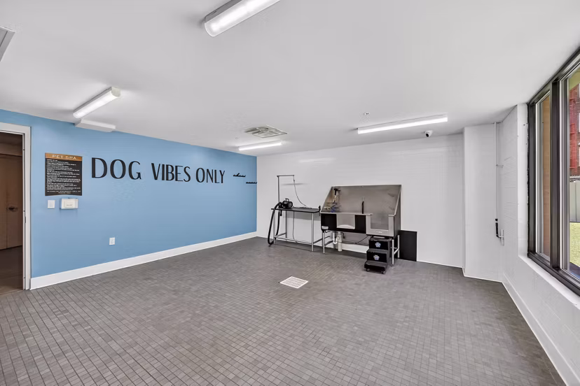 Dog-friendly play area at The Walcott Hackensack Apartments featuring agility equipment and green space