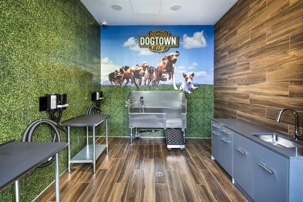 Dog wash station with tiled walls at Highwater Apartments