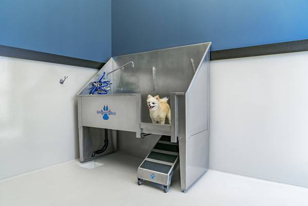 dog wash station at Parallel Apartments