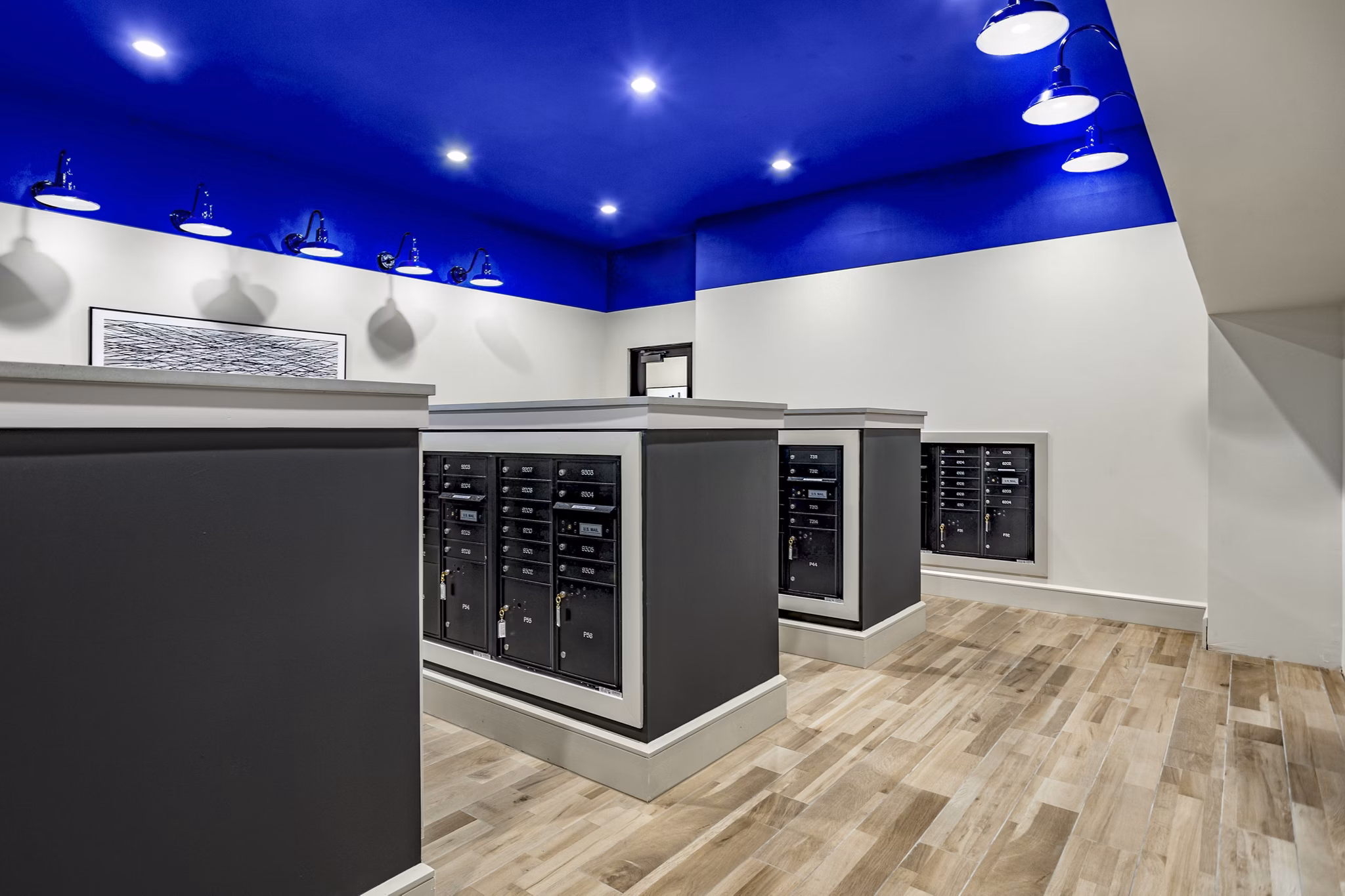 Mailroom with modern package lockers at Domain Town Center Apartments