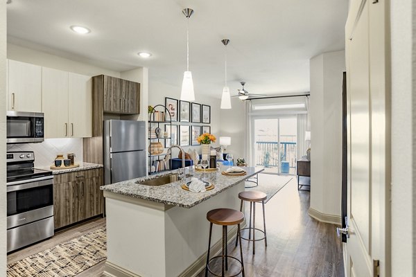 Modern kitchen with stainless steel appliances in Domain Town Center Apartments