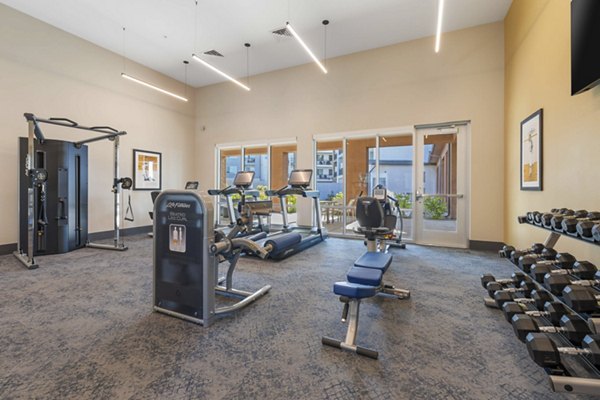 State-of-the-art fitness center at Album Cooley Station Apartments offering top-tier workout equipment and spacious environment