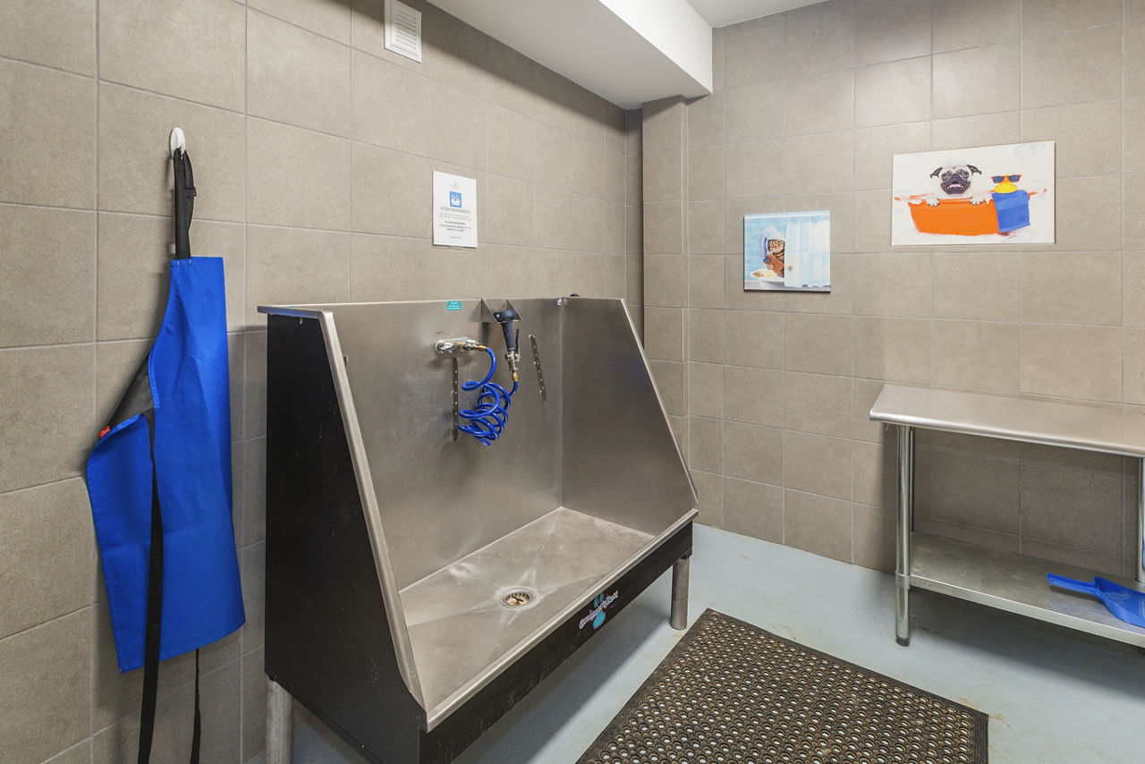Pet wash at Solana Lakewood 55+
