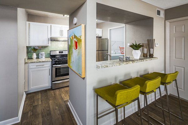 Kitchen featuring modern appliances and sleek countertops at Trellis Apartments luxury homes