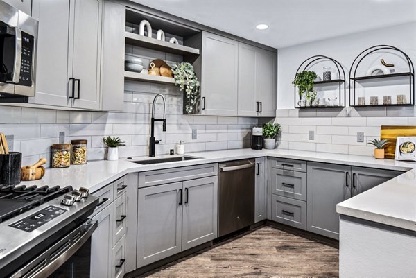 Modern kitchen with stainless steel appliances and sleek cabinetry in Alexan Gallerie Apartments
