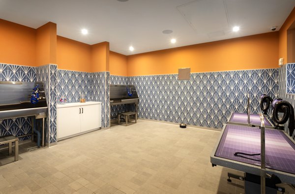 Dog wash station at Alexan Gallerie Apartments with grooming amenities for residents' convenience