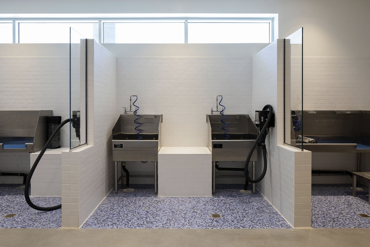 Pet wash at Vox Residences