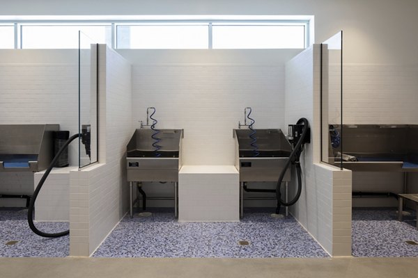 VOX Apartments: Modern dog wash station for residents' pets