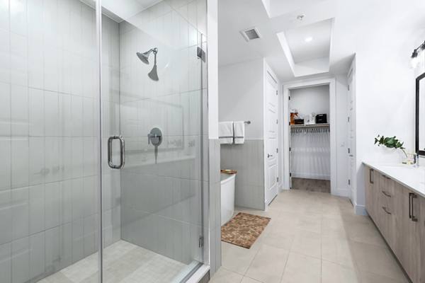 bathroom at 1155 Barton Springs Apartments