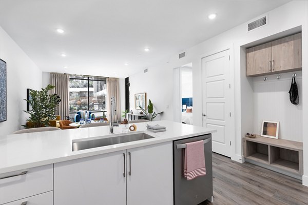 kitchen at 1155 Barton Springs Apartments