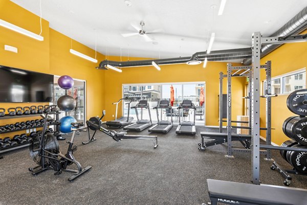 Modern fitness center with state-of-the-art equipment at The Lofts at Ten Mile Apartments