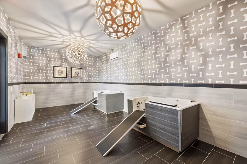 Dog wash station at Art House Sawyer Yards Apartments: Modern pet-friendly amenity in Houston luxury community, featuring high-end facilities