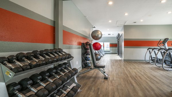 State-of-the-art fitness center featuring modern equipment at Avana Overlook Apartments, promoting a healthy lifestyle
