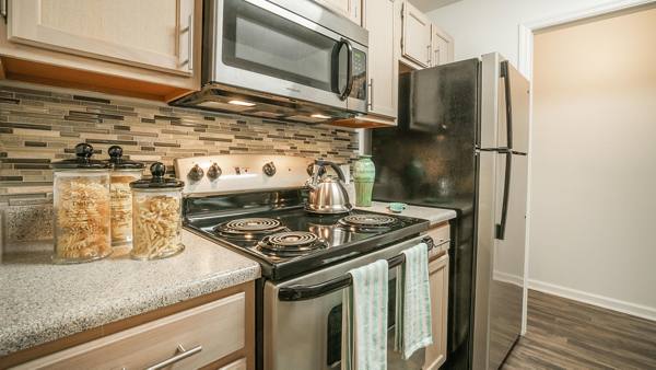 kitchen at Avana Overlook Apartments