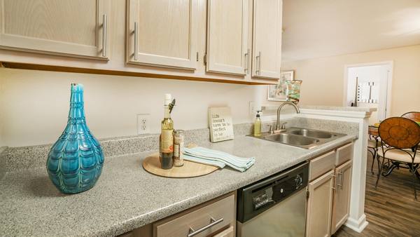 kitchen at Avana Overlook Apartments