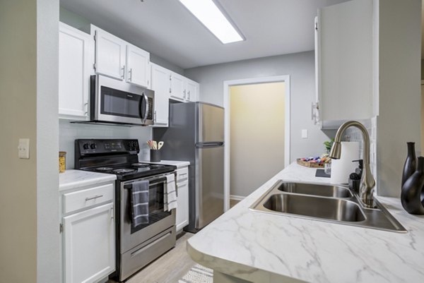 Modern kitchen featuring stainless steel appliances and granite countertops in Avana Overlook Apartments