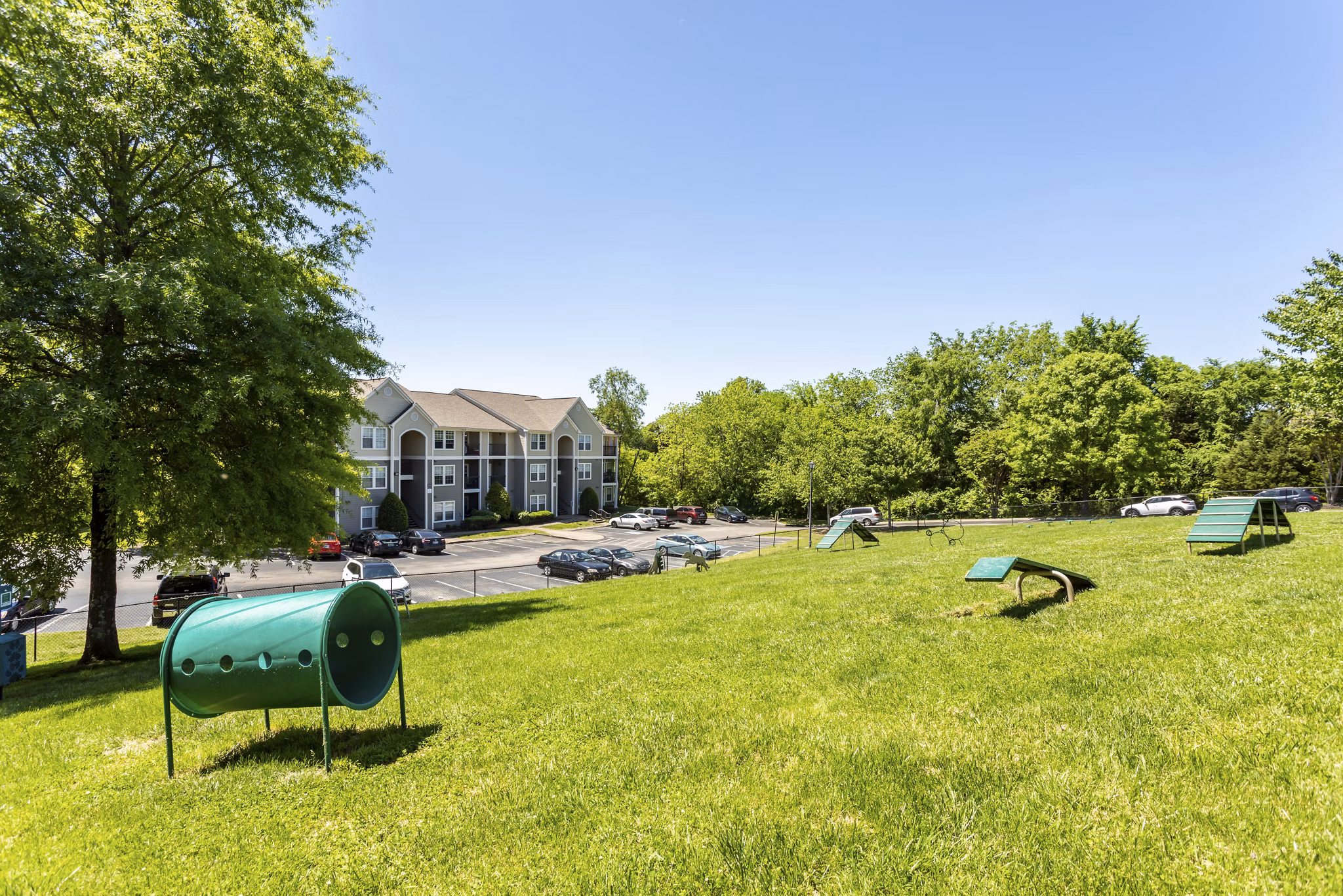Expansive dog park with agility course at Avana Overlook Apartments