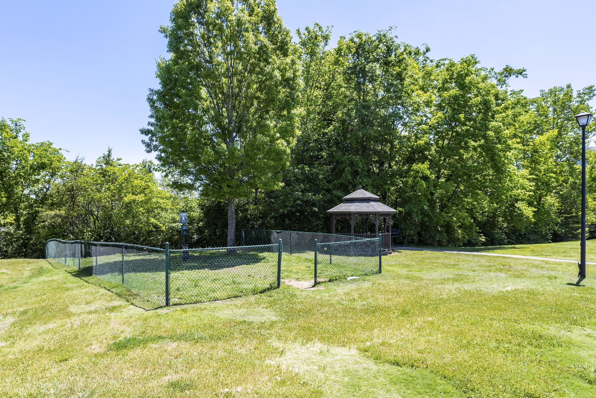 Dog park featuring agility equipment at Avana Overlook Apartments, a Greystar luxury apartment community