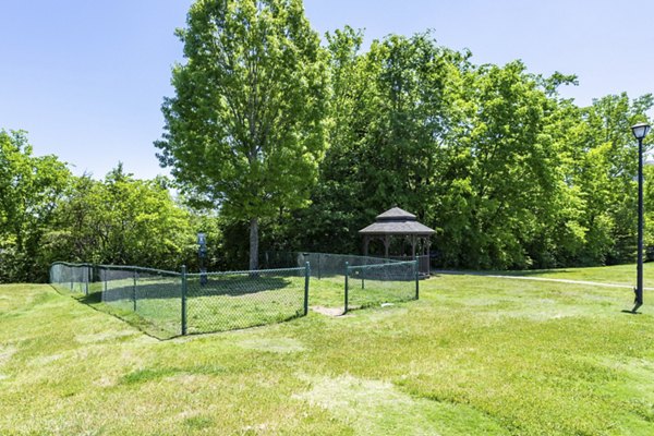 dog park at Avana Overlook Apartments