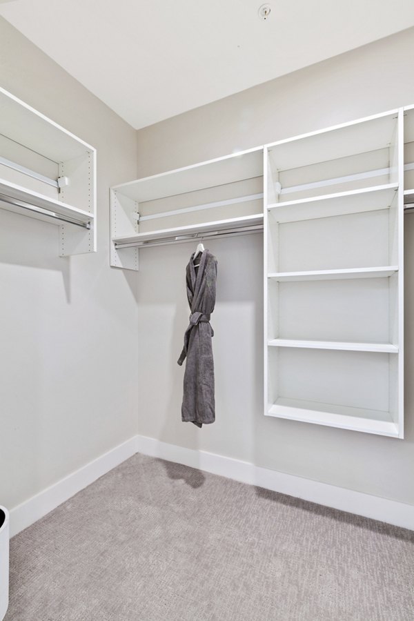 Spacious walk-in closet with ample storage in Canter Green Apartments
