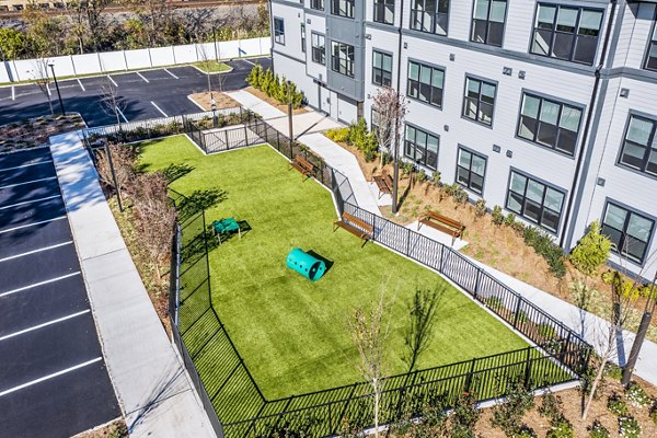 Spacious dog park with agility equipment at Canter Green Apartments, a luxury living community