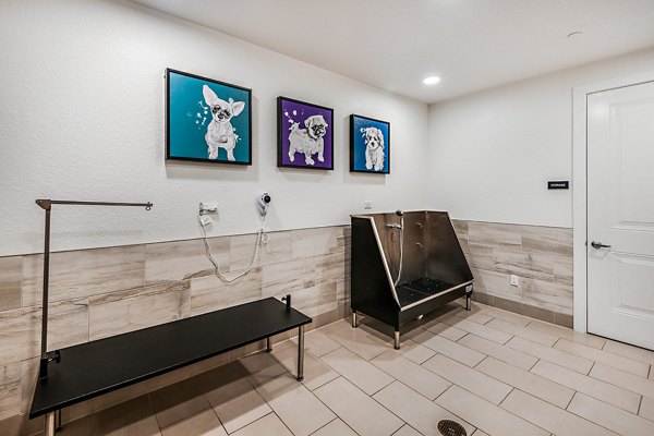Dog wash station at Encore Metro at Millenia Apartments offering pet grooming convenience and premium amenities for residents