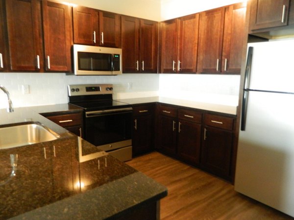 Modern kitchen with stainless steel appliances at Carrington at Schilling Farms Apartments, luxury living by Greystar