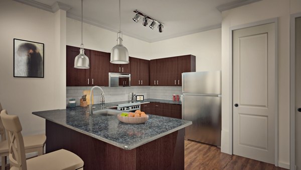 Modern kitchen with stainless steel appliances at Carrington at Schilling Farms Apartments
