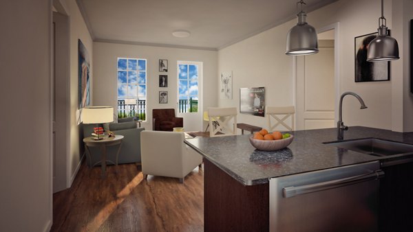Modern kitchen with stainless steel appliances at Carrington at Schilling Farms Apartments, ideal for luxury living