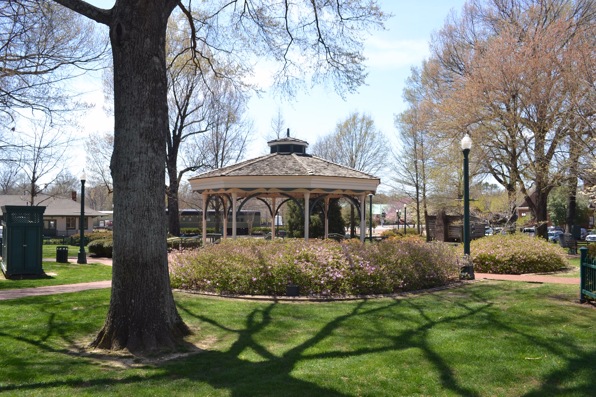 Charming neighborhood view at Carrington at Schilling Farms Apartments with tree-lined streets and cozy community ambiance