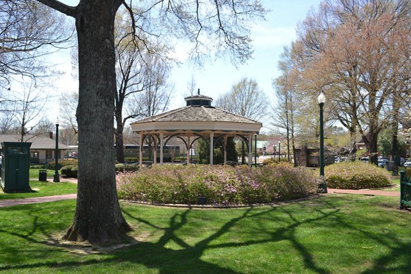 Charming neighborhood view at Carrington at Schilling Farms Apartments with tree-lined streets and cozy community ambiance