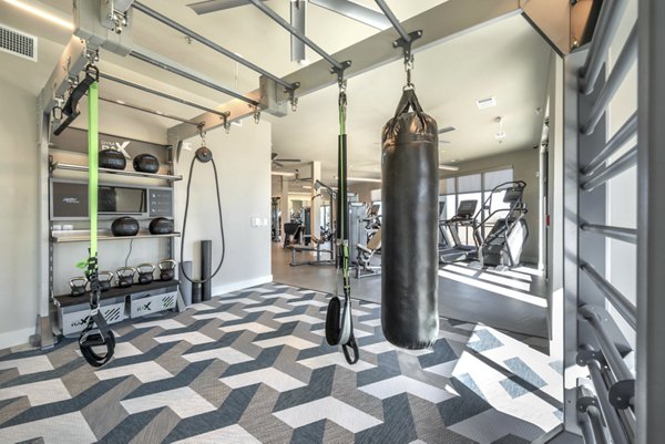 fitness center at Alexan Flower Mound Apartments