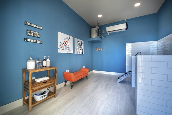Dog washing station at Alexan Flower Mound Apartments with tiled walls and pet-friendly features